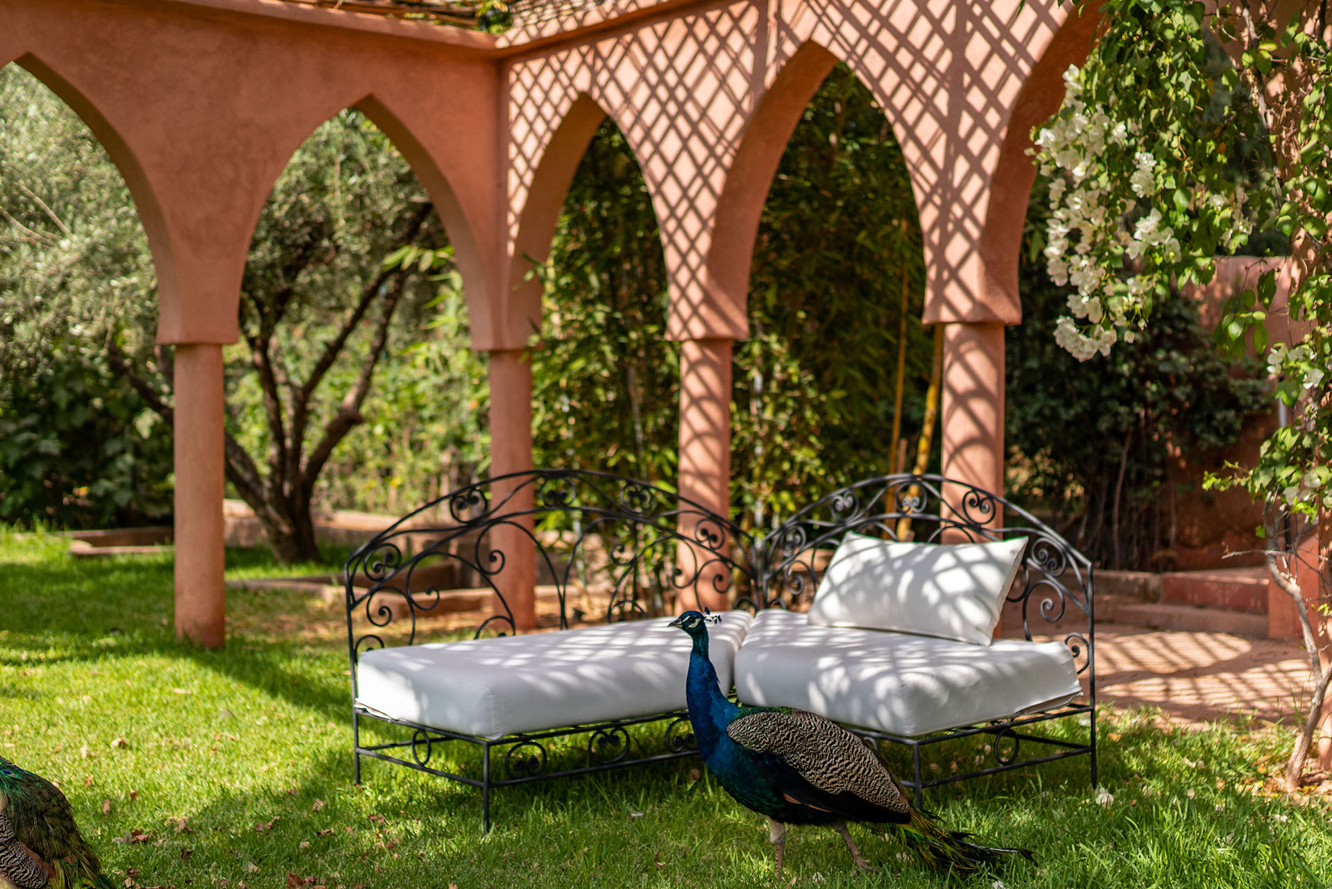 Place des Amoureux Alma Marrakech