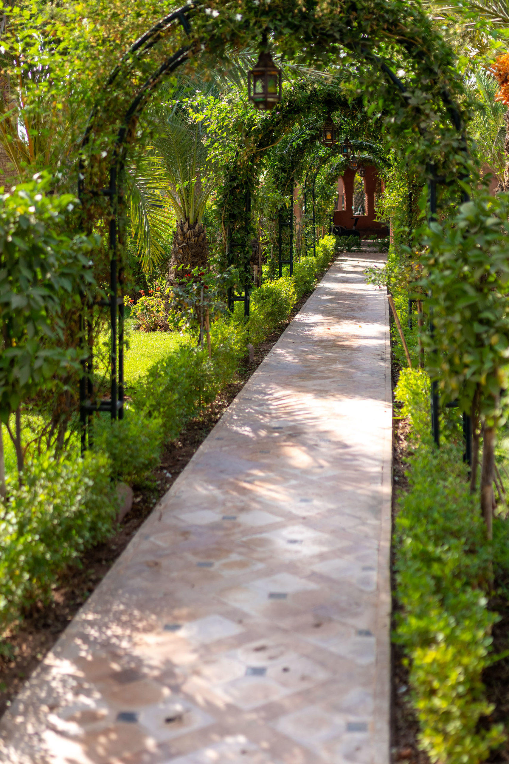 Allée des Jasmins Alma Marrakech
