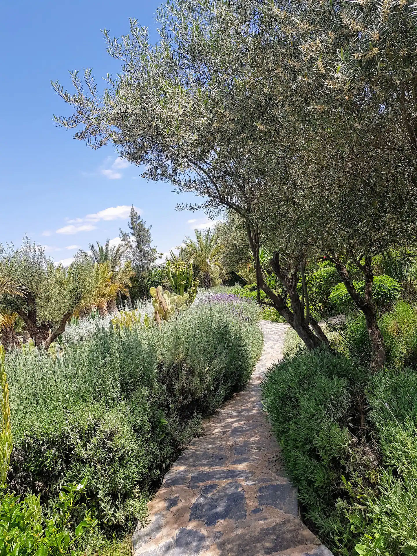 Comme en Provence ! Alma Marrakech
