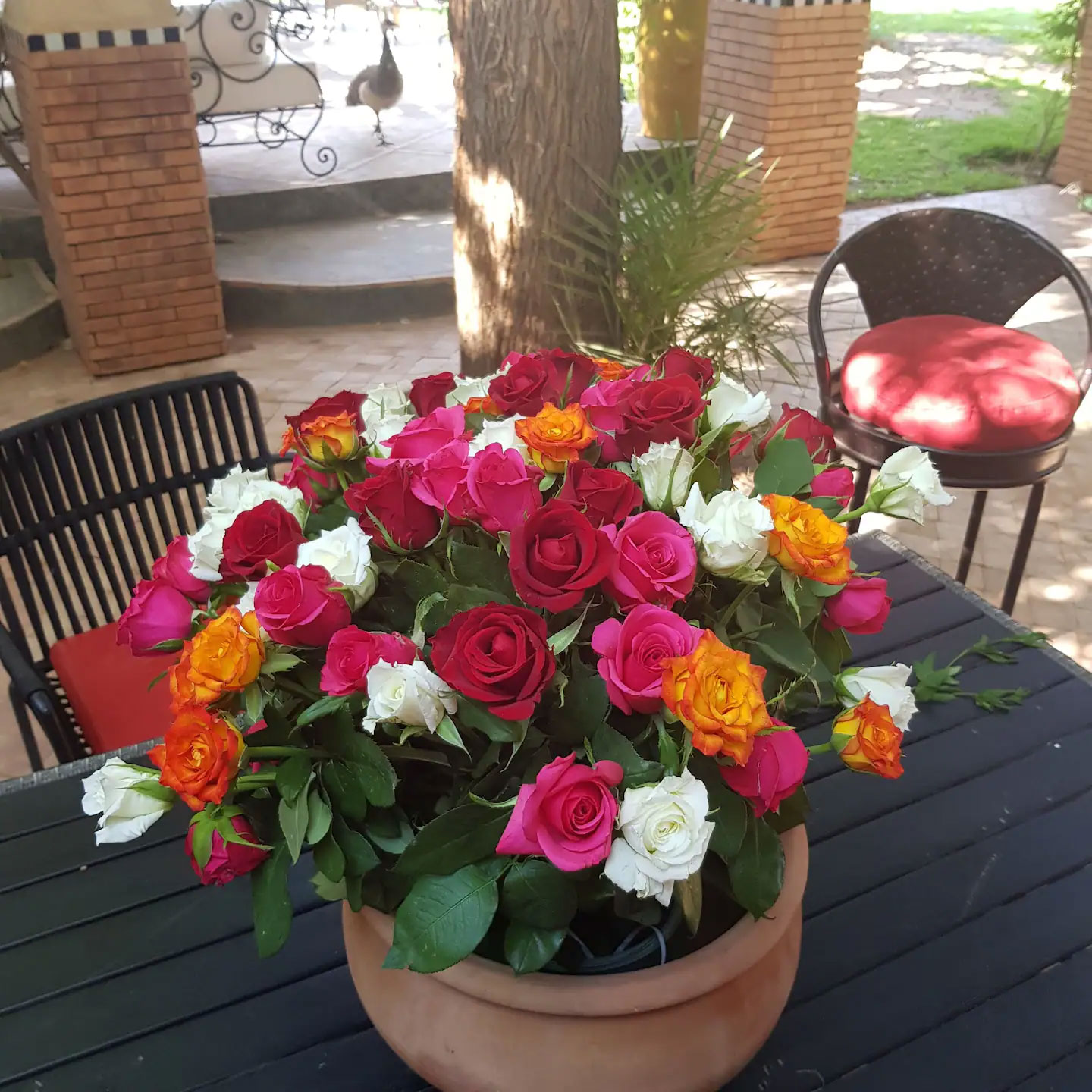 Bouquet Roseraie Domaine Alma Marrakech